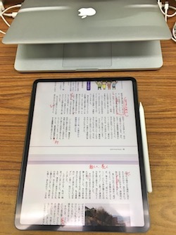 iPadで校閲