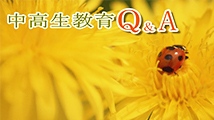 中高生教育Ｑ＆Ａ