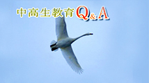 中高生教育Ｑ＆Ａ