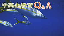 中高生教育Ｑ＆Ａ