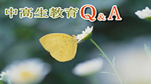 中高生教育Ｑ＆Ａ