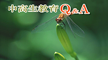 中高生教育Ｑ＆Ａ