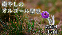 癒やしのオルゴール聖歌～心安らぐ清らかな音色～ 第35回
「主の道」
