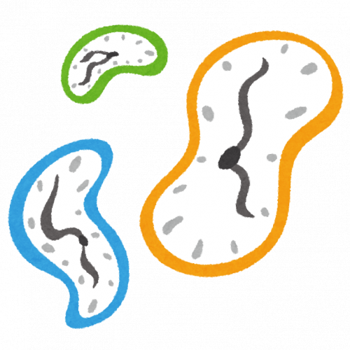 一度は使ってみたい韓国のことわざ・慣用句 第3回「時も場合もなく」